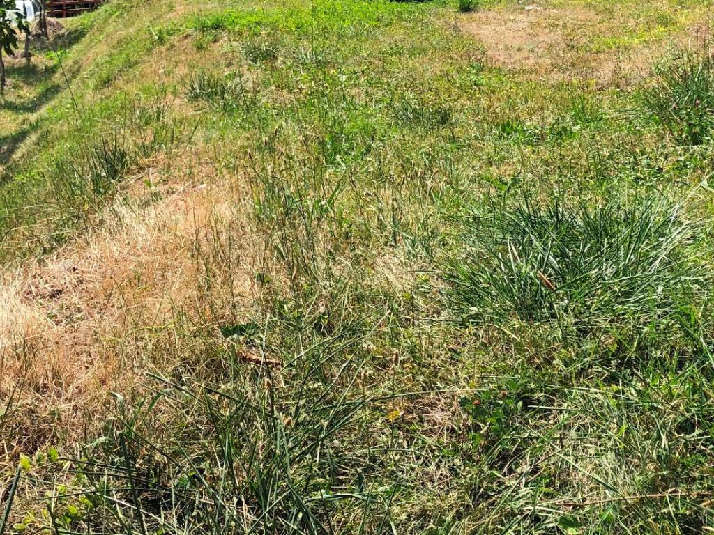 Terreno a Grosotto - Foto 4