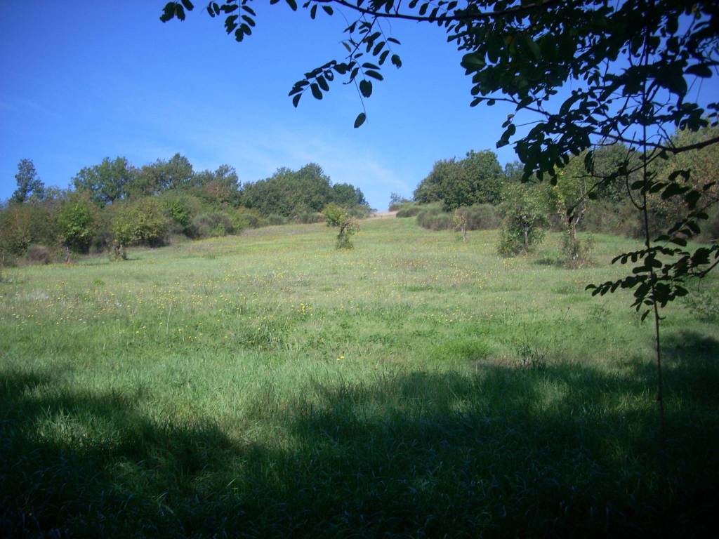 Terreno a Trivigliano in Malle - Foto 2