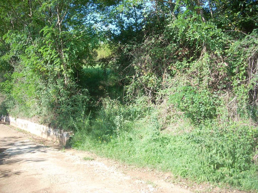 Terreno a Trivigliano in Malle - Foto 3