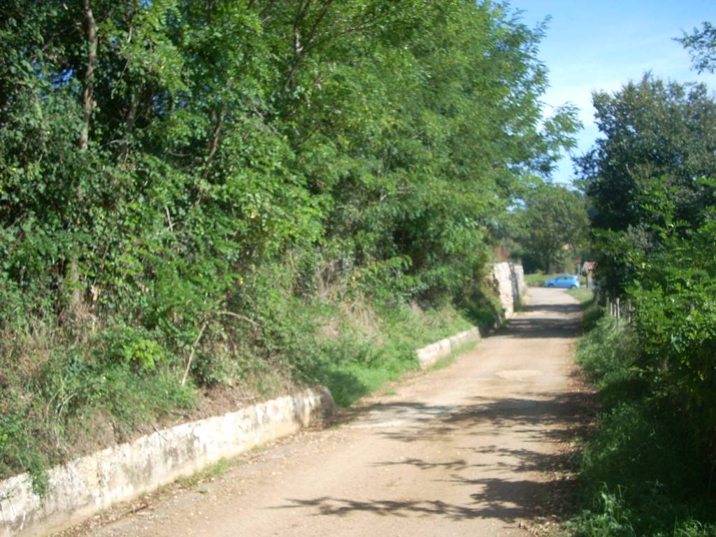 Terreno a Trivigliano in Malle - Foto 5