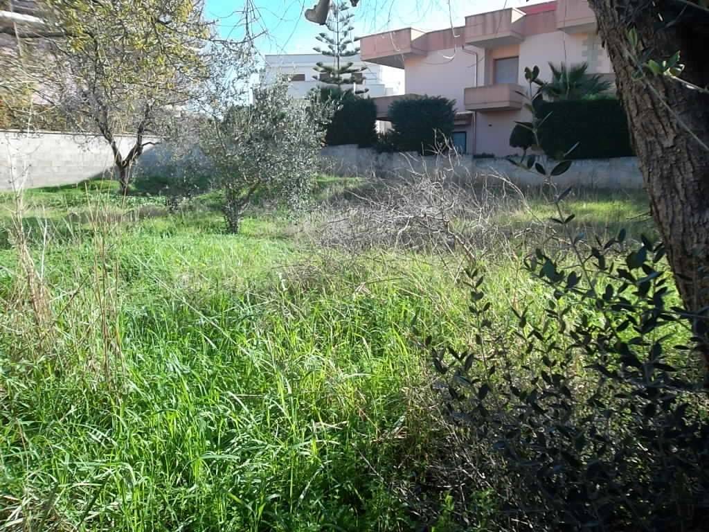 Terreno a Matino in Via Roma - Foto 2