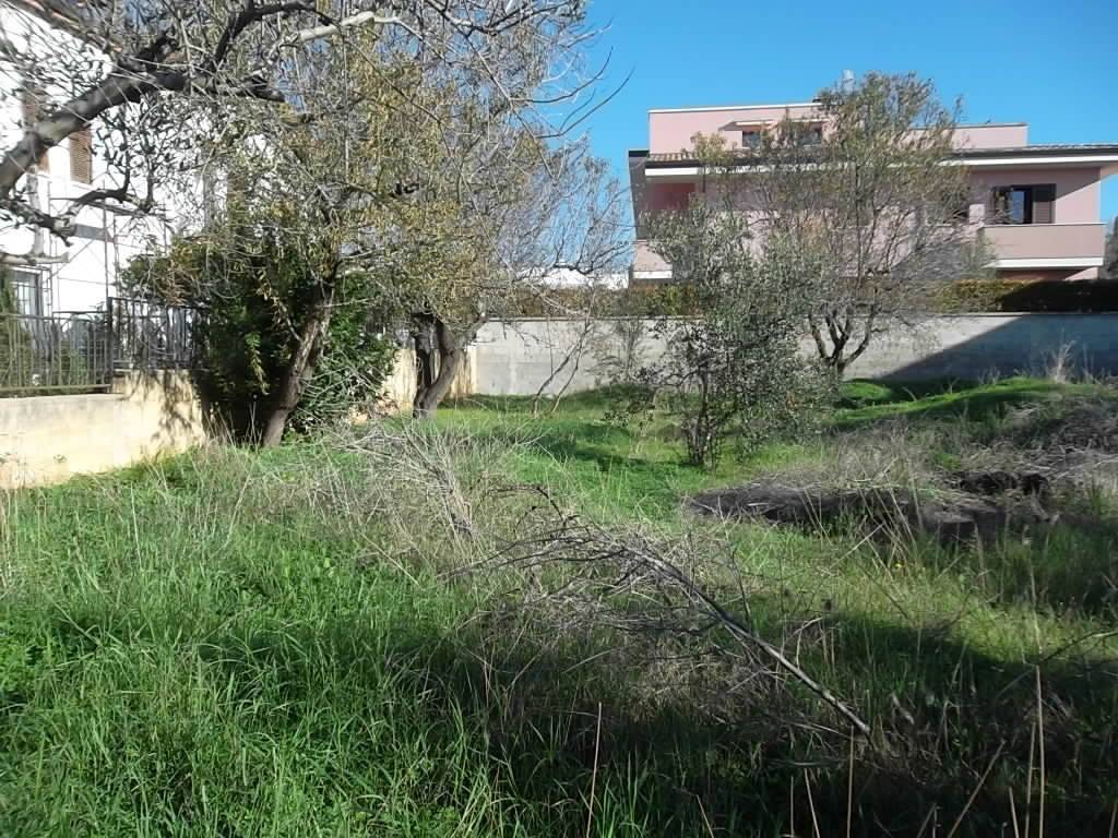 Terreno a Matino in Via Roma - Foto 3