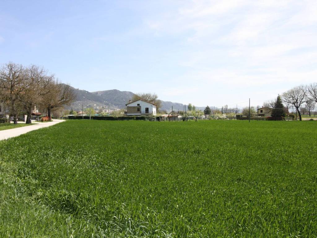 Terreno a Gubbio in Via del Ghirlandaio - Foto 3