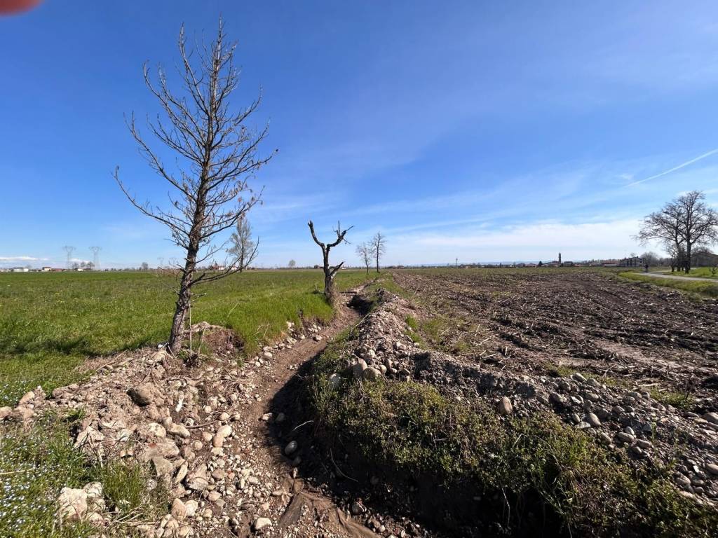 Terreno a Margarita in Via Santa Caterina - Foto 5