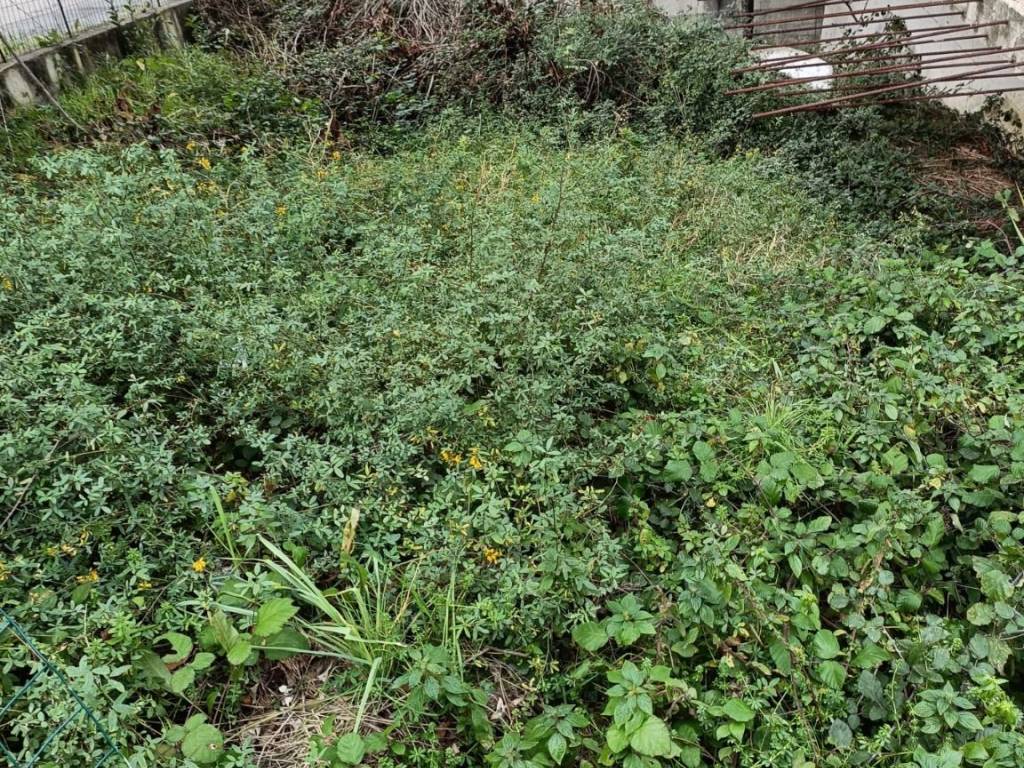 Casa indipendente a Montesilvano - Foto 3