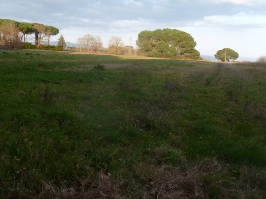 Terreno a Castiglione del lago in Via della Libertà - Foto 2