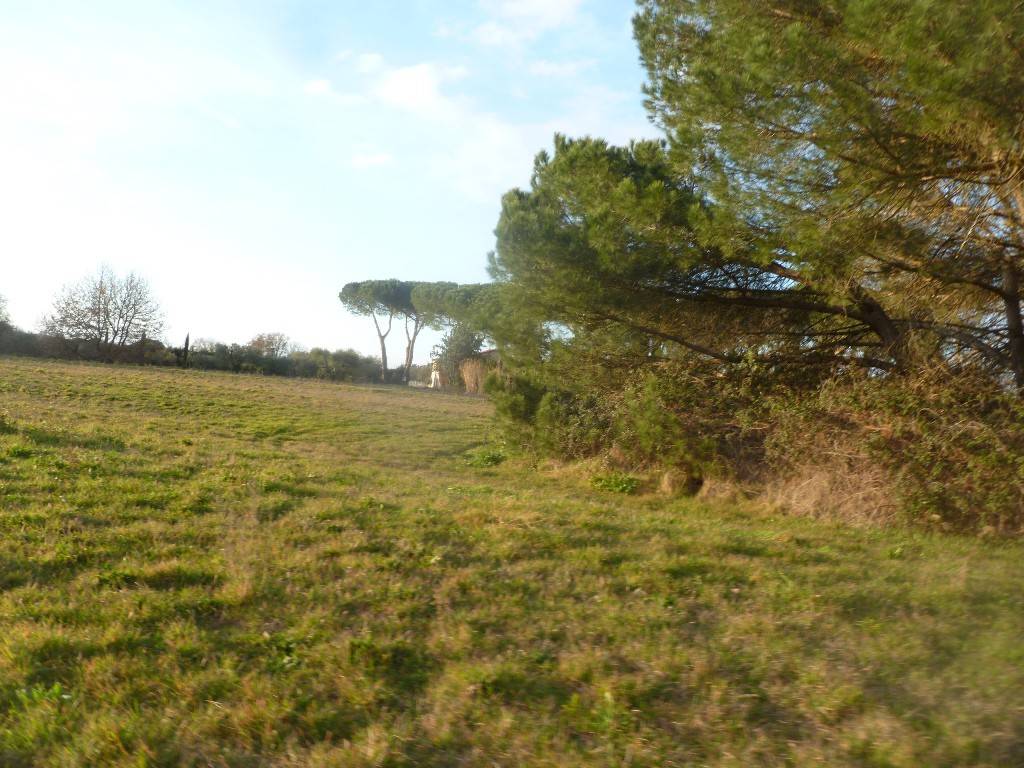 Terreno a Castiglione del lago in Via della Libertà - Foto 3