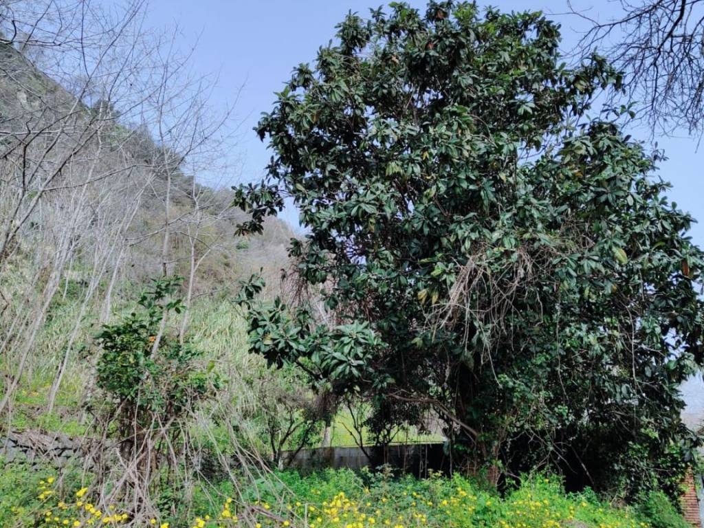 Rustico / casale a Giarre in Via Damasco - Foto 2