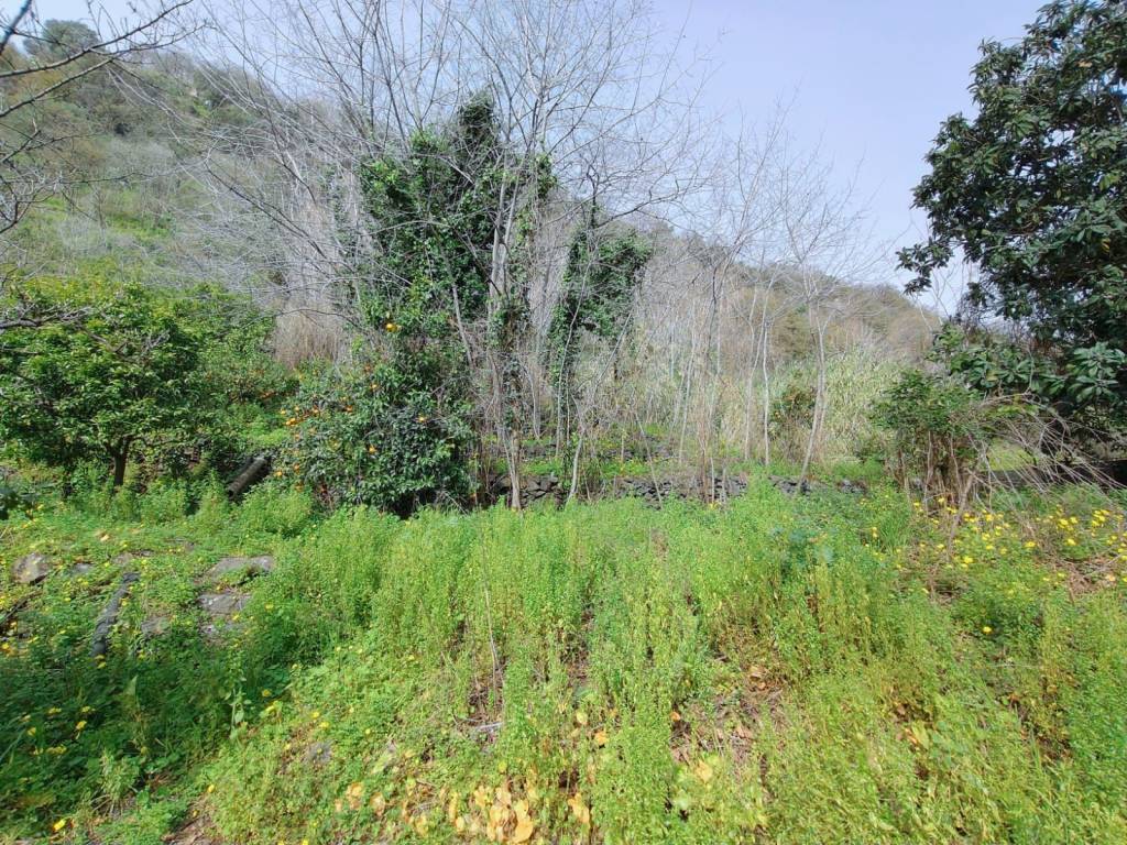 Rustico / casale a Giarre in Via Damasco - Foto 4
