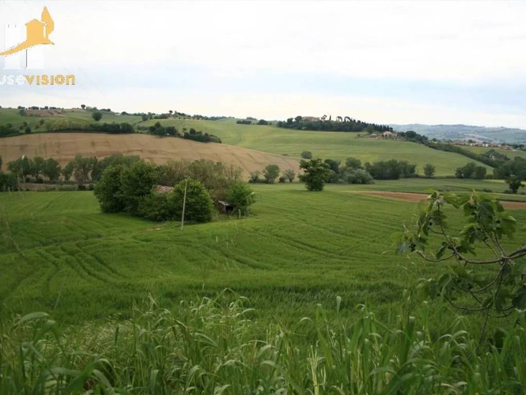 Rustico / casale a Trecastelli - Foto 4