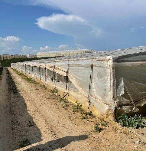 Terreno a Gela in Via Santa Lucia - Foto 2