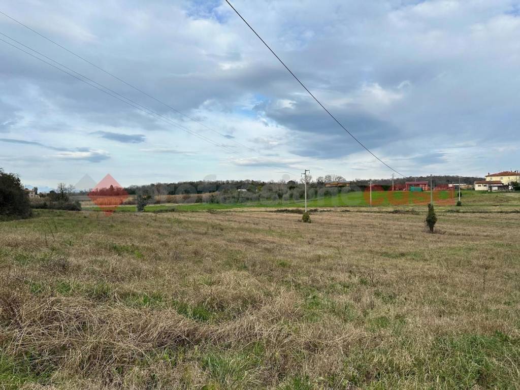 Terreno a Collesalvetti in Via delle Sorgenti - Foto 2