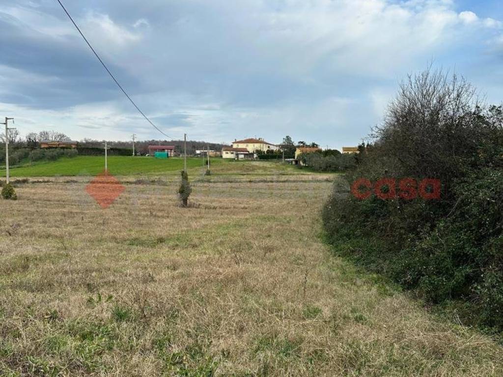 Terreno a Collesalvetti in Via delle Sorgenti - Foto 3