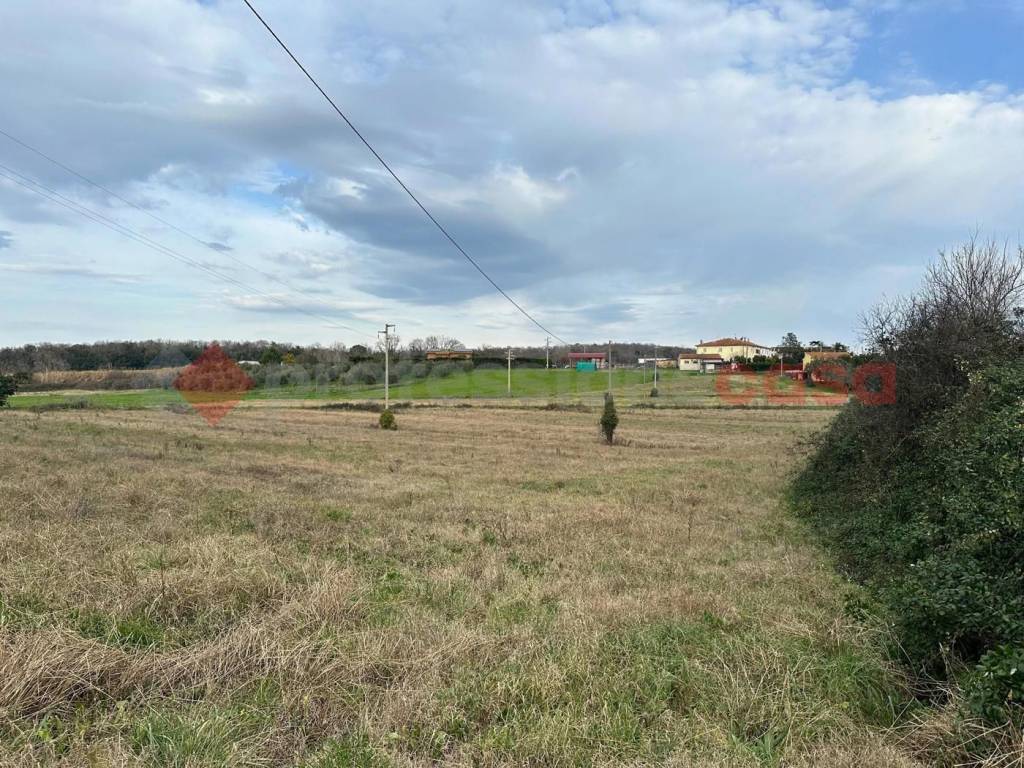 Terreno a Collesalvetti in Via delle Sorgenti - Foto 4