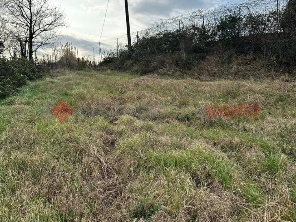 Terreno a Collesalvetti in Via delle Sorgenti - Foto 5