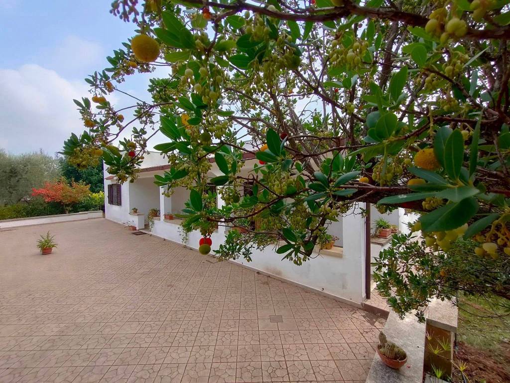 Villa a Ostuni in SS16 - Foto 5