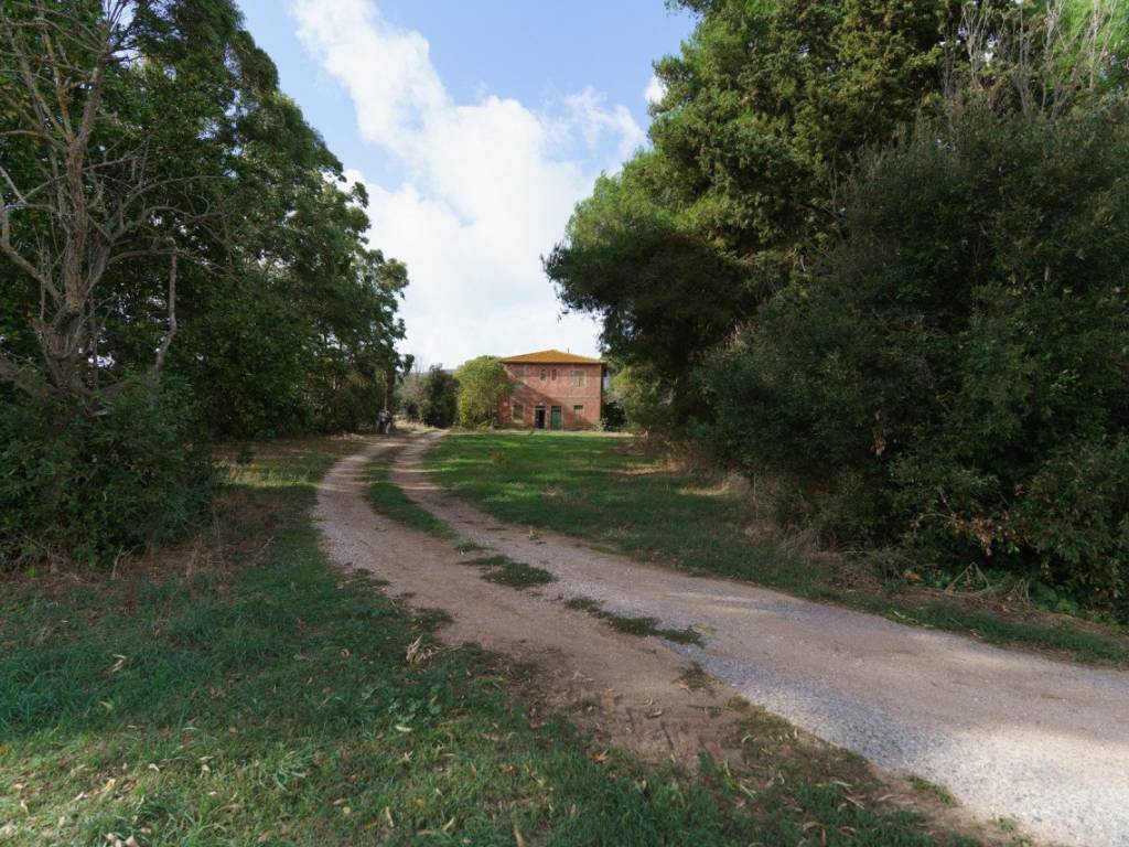 Rustico / casale a Magliano in toscana in Strada Vicinale Valentina - Foto 5