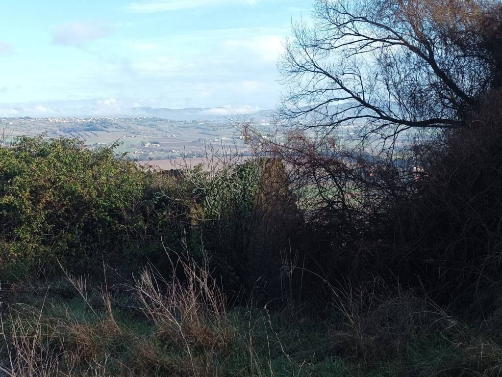 Rustico / casale a Torgiano in Via dell'Acquedotto - Foto 3