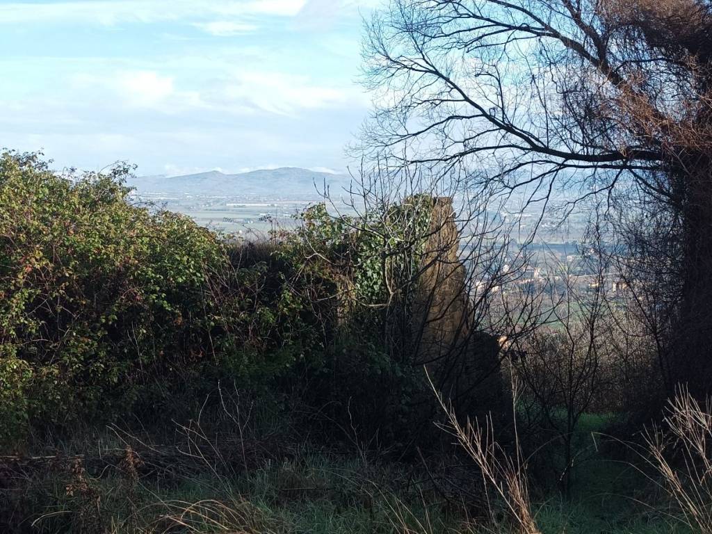 Rustico / casale a Torgiano in Via dell'Acquedotto - Foto 5