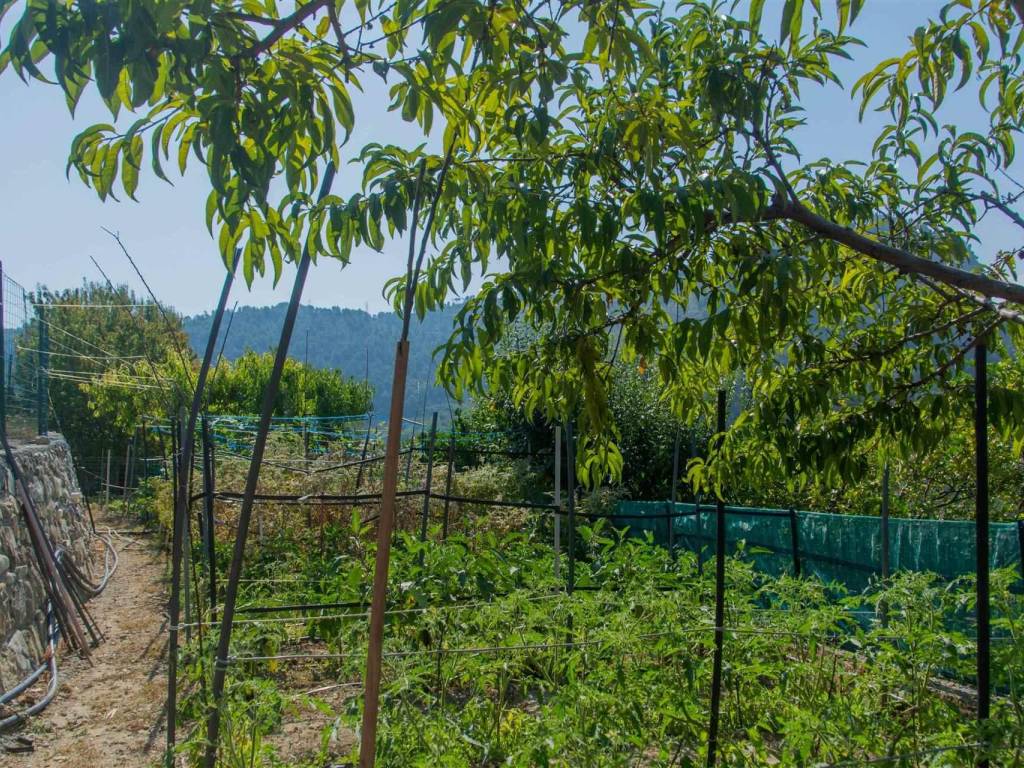 Villa a Camporosso - Foto 4