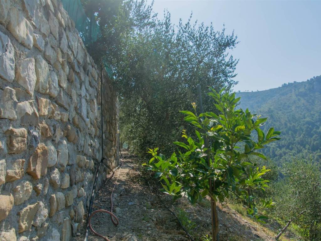 Villa a Camporosso - Foto 5