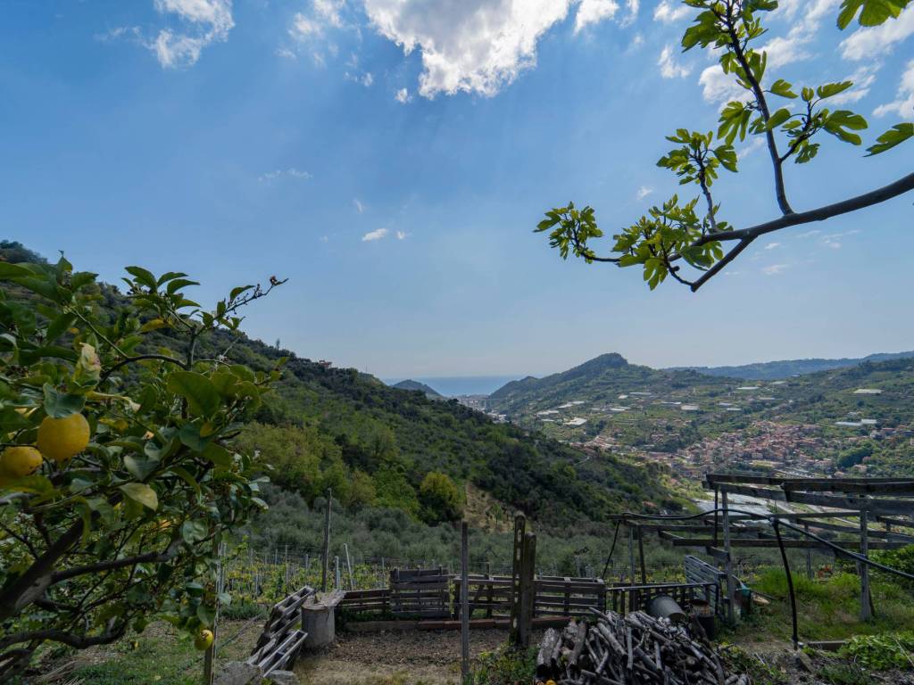 Rustico / casale a San biagio della cima - Foto 2