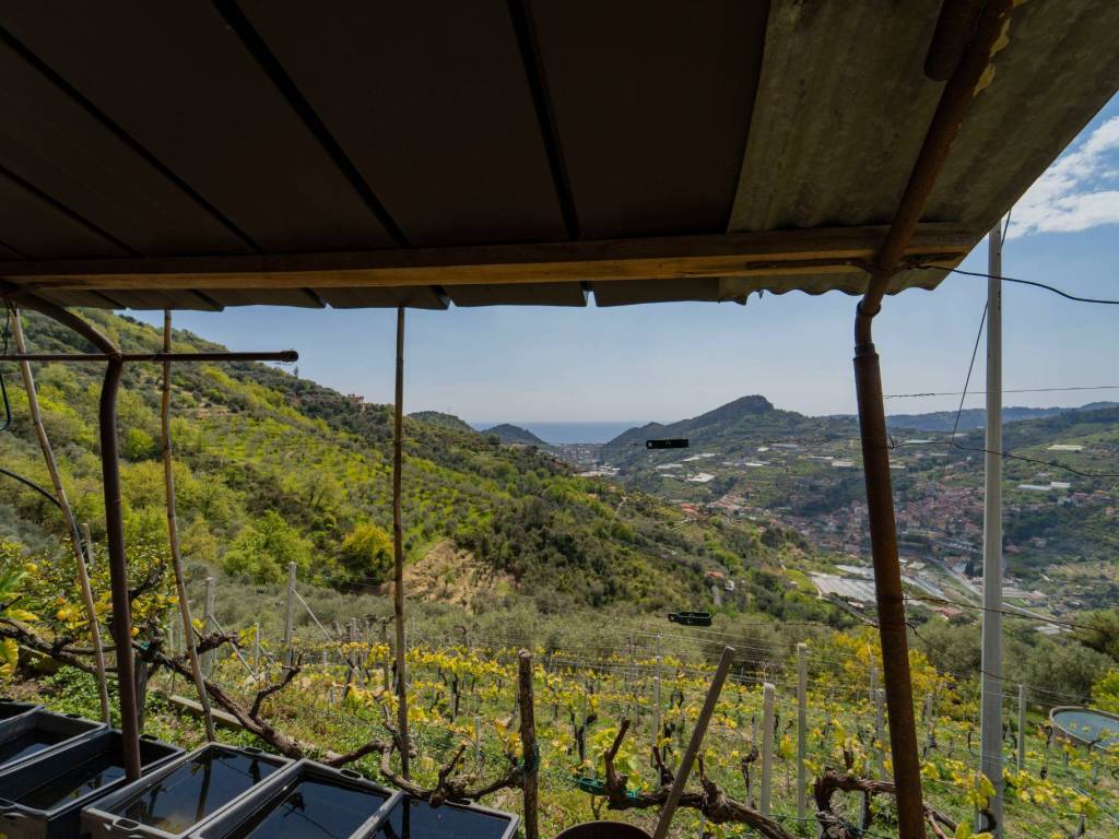 Rustico / casale a San biagio della cima - Foto 4