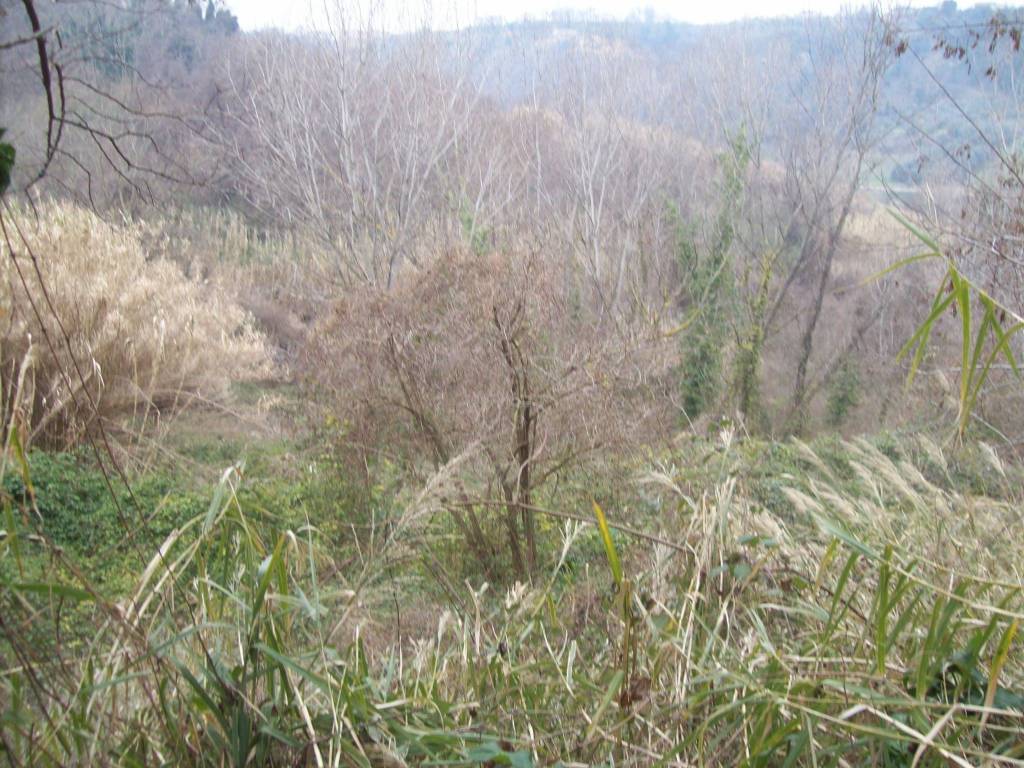 Rustico / casale a Treglio in CONTRADA VIDIZZE - Foto 2