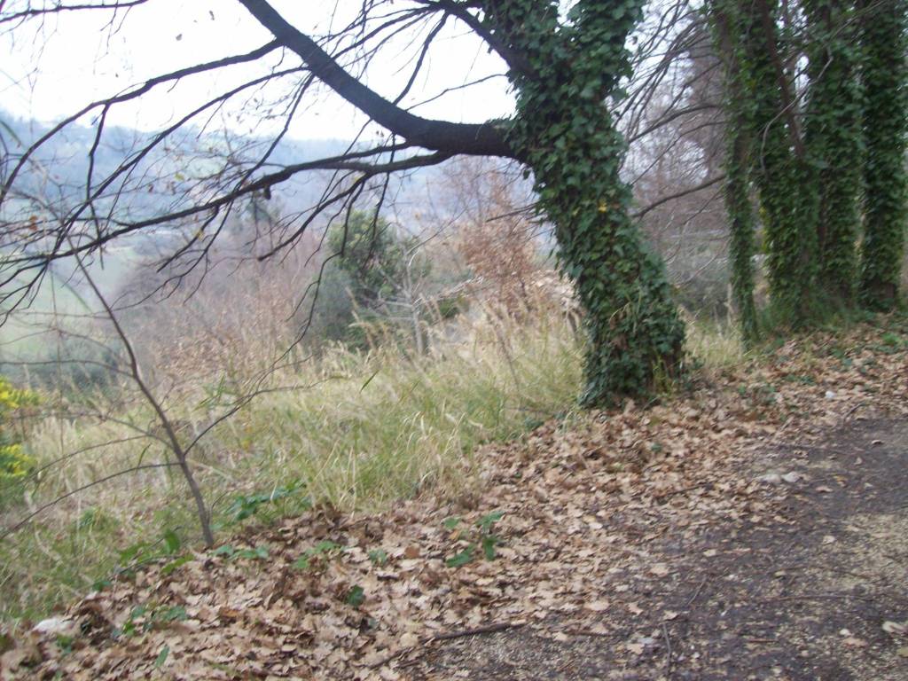 Rustico / casale a Treglio in CONTRADA VIDIZZE - Foto 3