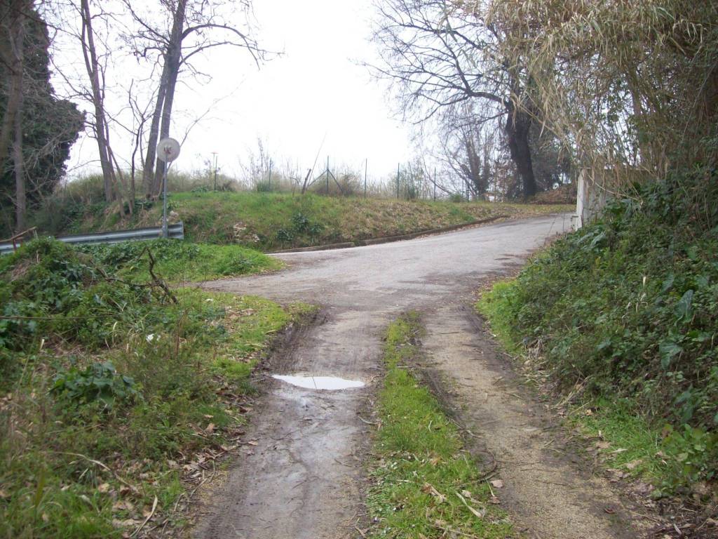 Rustico / casale a Treglio in CONTRADA VIDIZZE - Foto 4