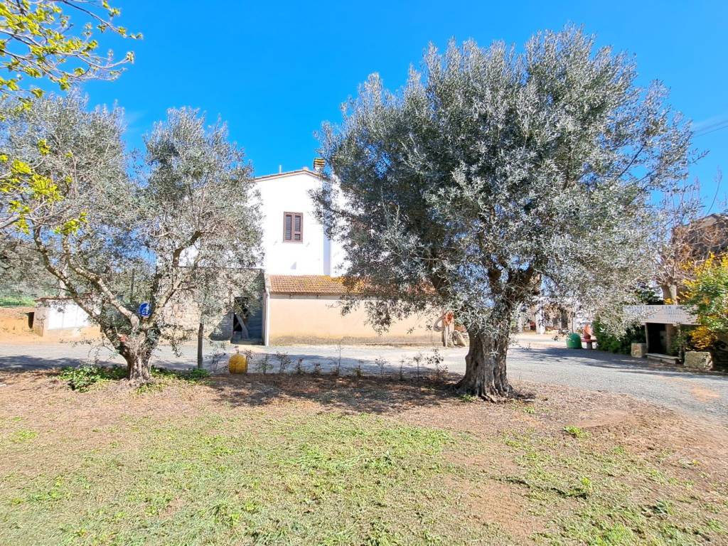 Appartamento a Rosignano marittimo in Località Il Ginestraio - Foto 4