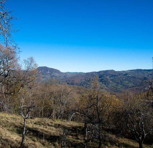 Rustico / casale a Castel di casio in Cisola - Foto 4