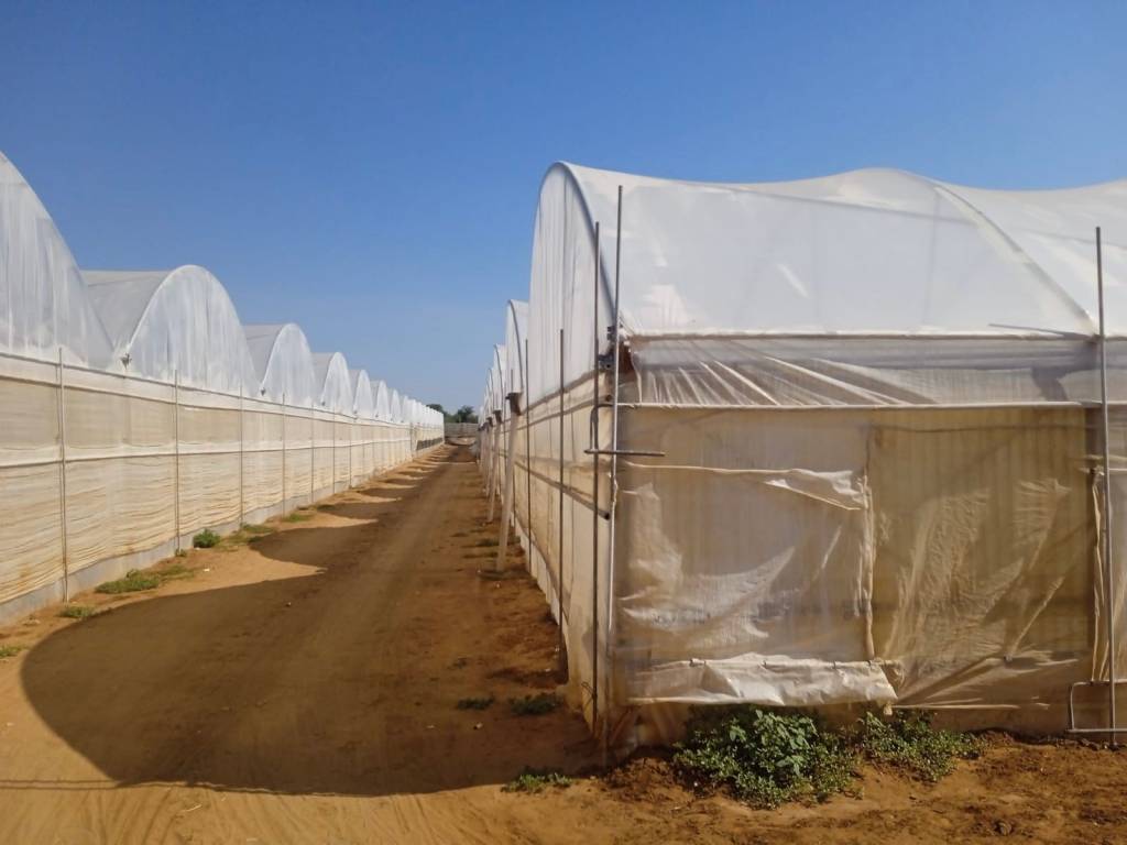 Terreno a Vittoria in Contrada Gucciarda - Foto 4