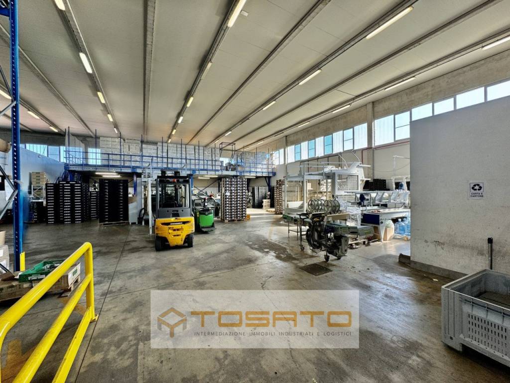 Immobile a Vigasio - Foto 4