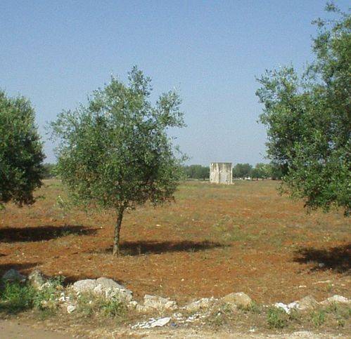 Terreno a Casarano in Contrada Sant'Anna - Foto 2