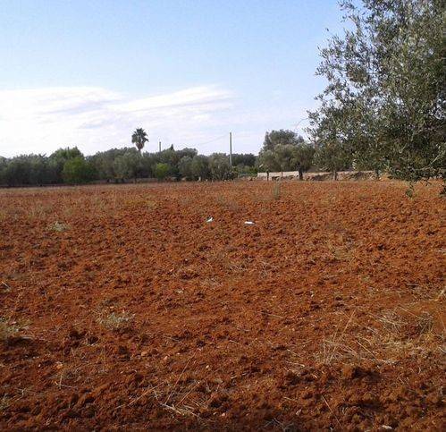 Terreno a Casarano in Contrada Sant'Anna - Foto 5