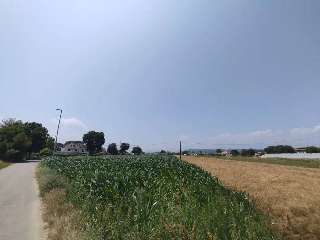 Terreno a Cepagatti in Villareia - Foto 4