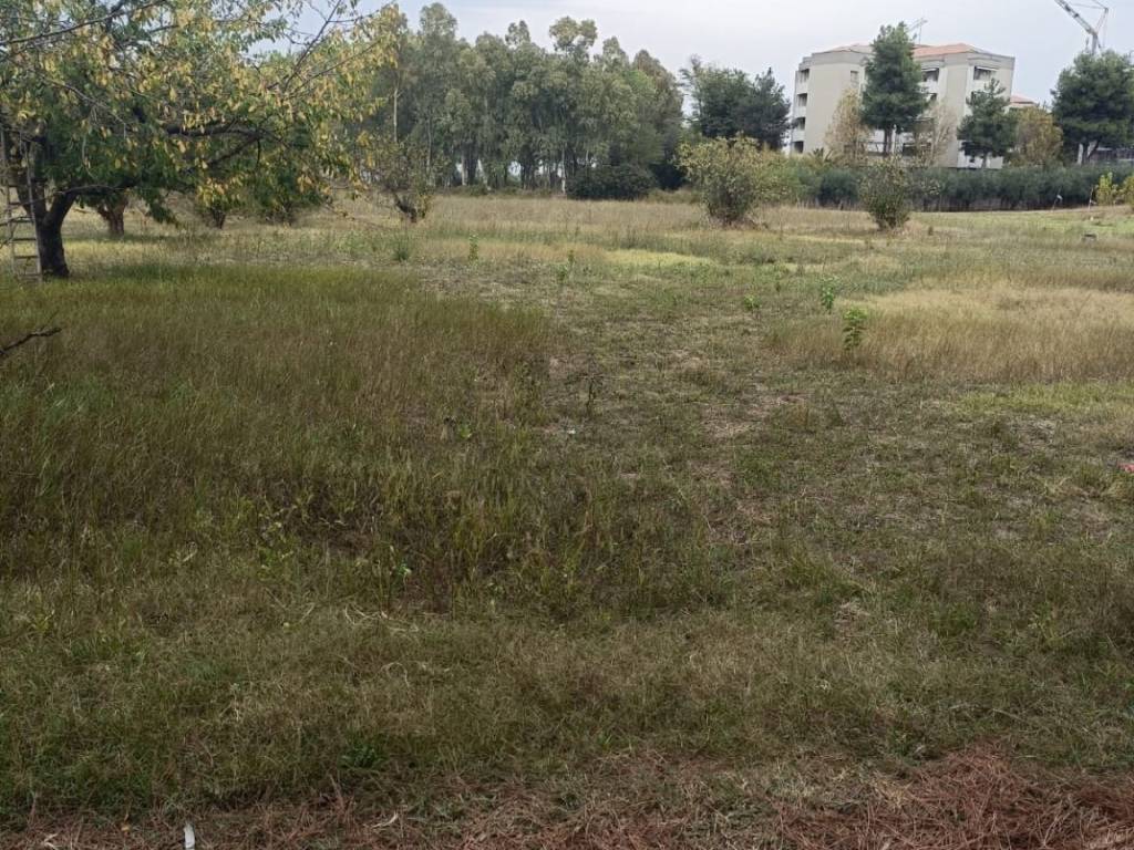 Terreno a Montesilvano - Foto 4