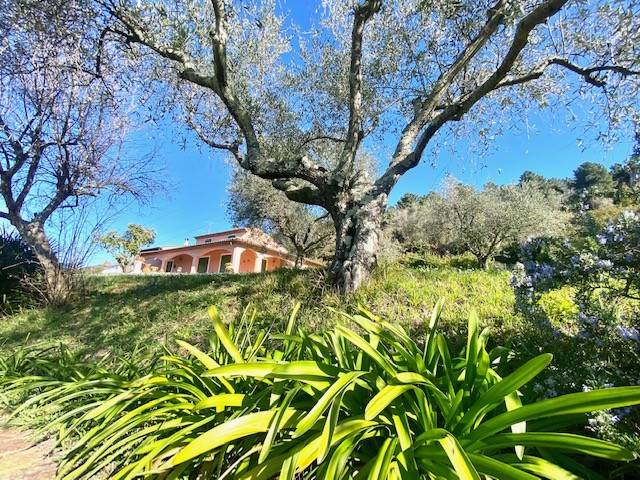 Villa a Sarzana - Foto 2