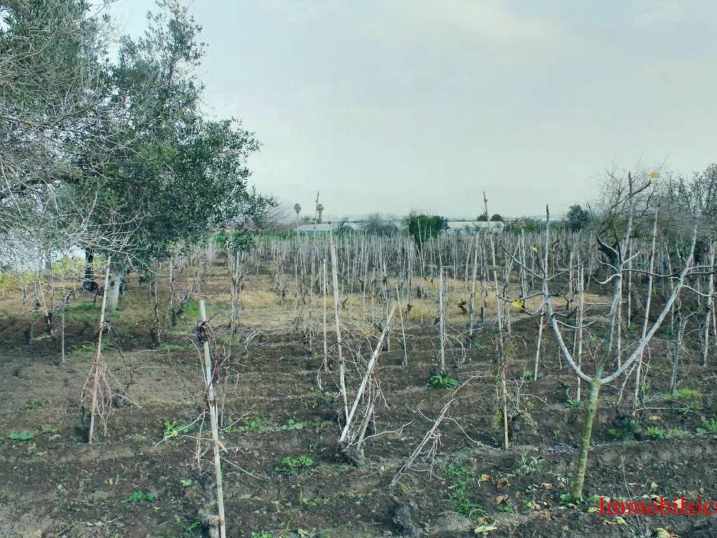 Terreno a Ispica in Contrada Pantano Curto No Number - Foto 3