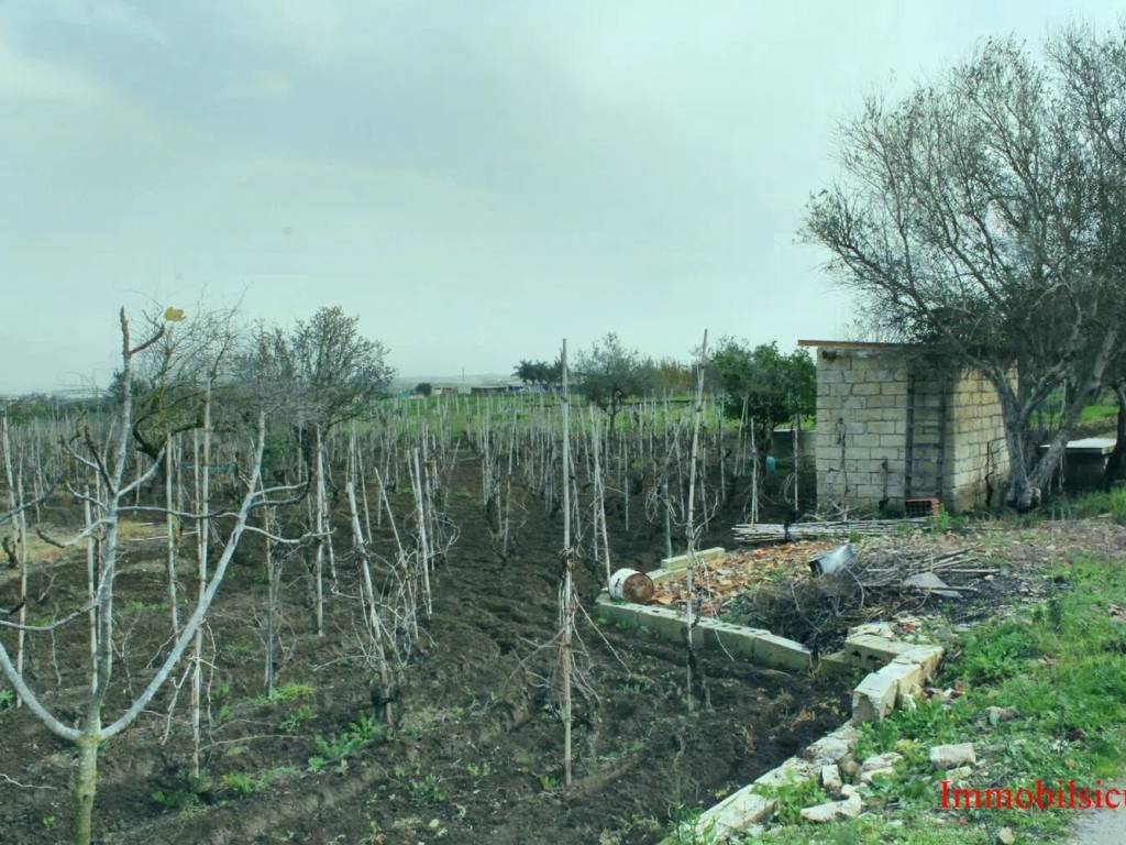 Terreno a Ispica in Contrada Pantano Curto No Number - Foto 4