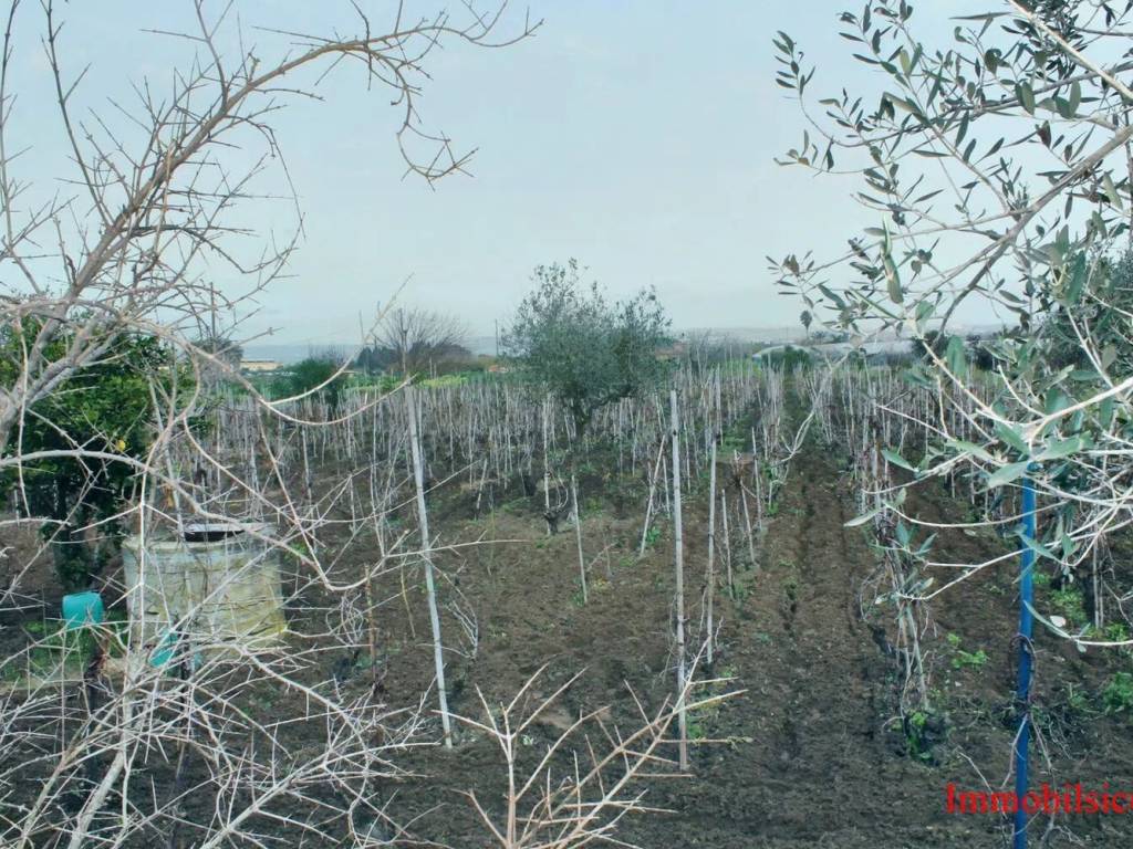 Terreno a Ispica in Contrada Pantano Curto No Number - Foto 5