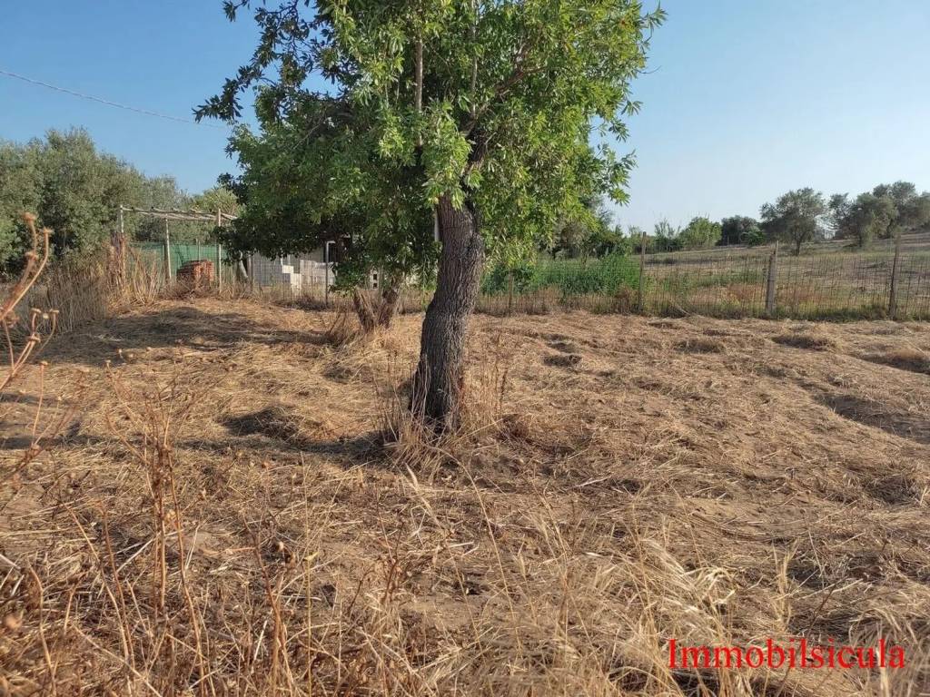 Terreno a Ispica in Contrada Iannazzo No Number - Foto 5