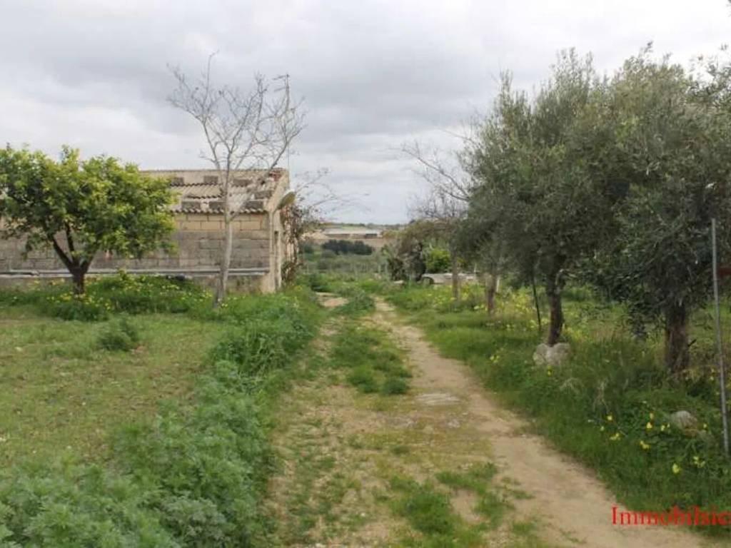 Rustico / casale a Ispica in Sp50 No Number - Foto 5