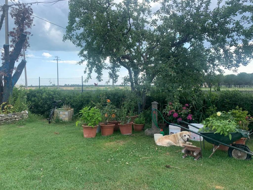 Villa a Grosseto in Strada Dei Pozzi - Foto 2