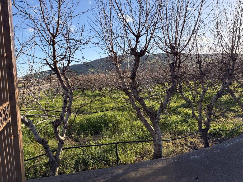 Terreno a Bronte in Contrada Barbaro - Foto 4