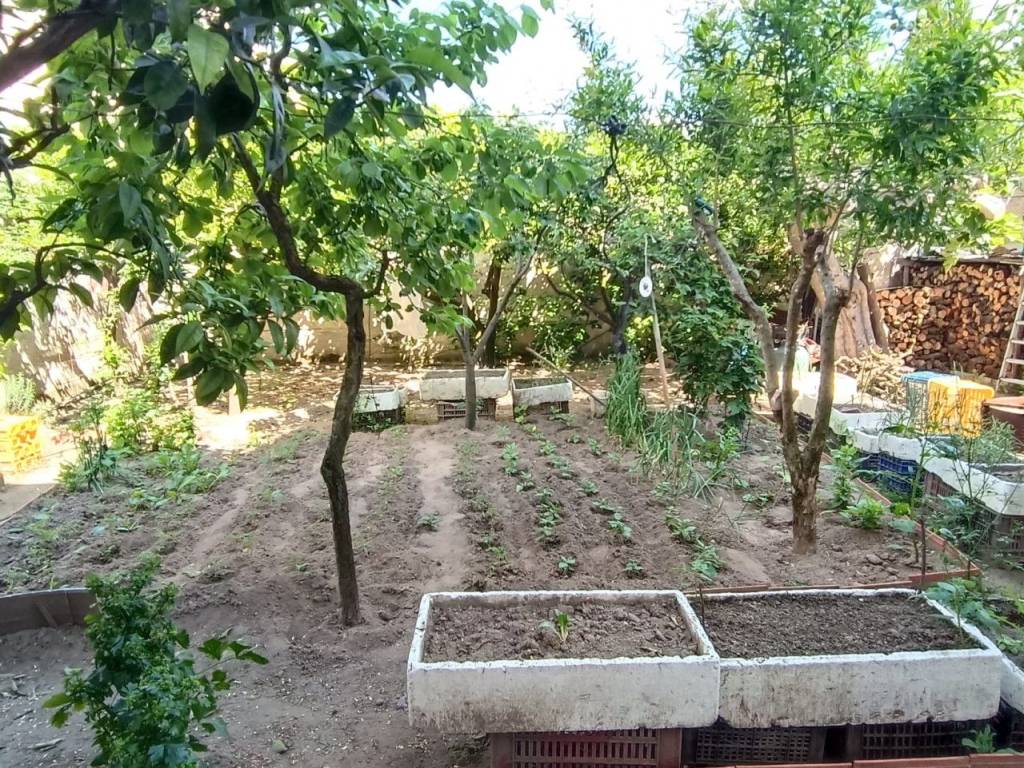Villa a Andria in VIA CANOSA, 369 - Foto 2