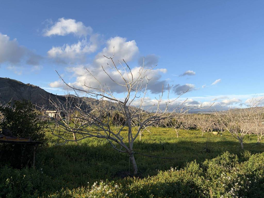 Terreno a Bronte in Contrada Barbaro - Foto 2