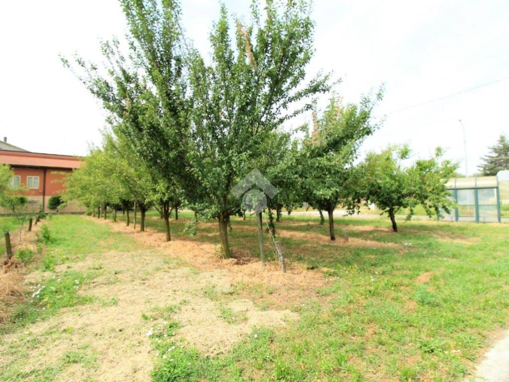 Terreno a Brescello in Via imperiale, 25 - Foto 3