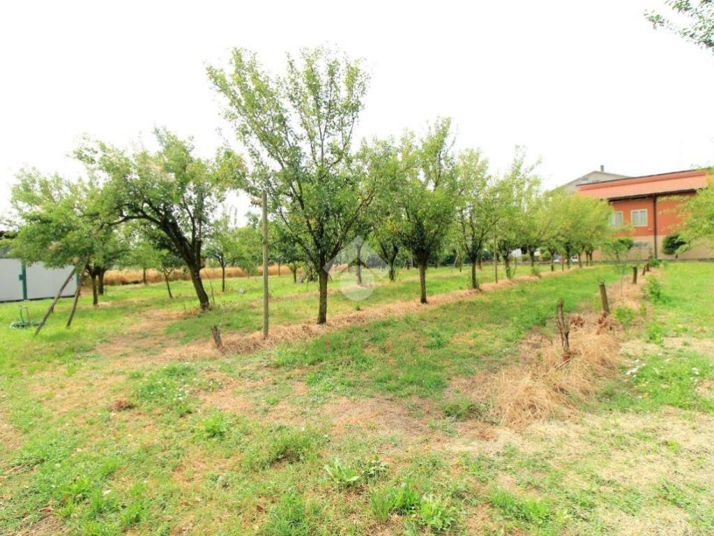 Terreno a Brescello in Via imperiale, 25 - Foto 4
